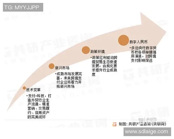 天猫与水星胜负差分析揭示电商竞争新格局与未来发展趋势